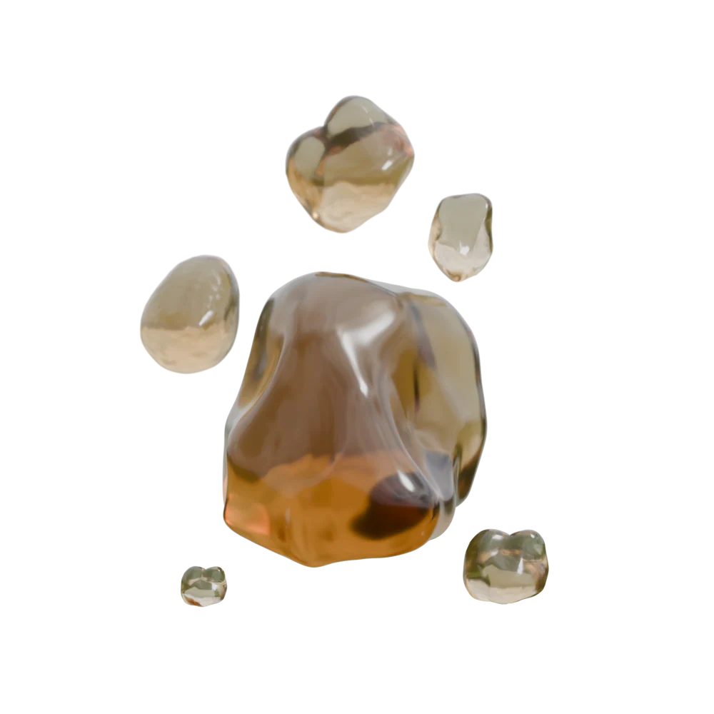 Amber_Harz.webp__PID:5eeff429-13b2-4783-8e86-12bb762476fc