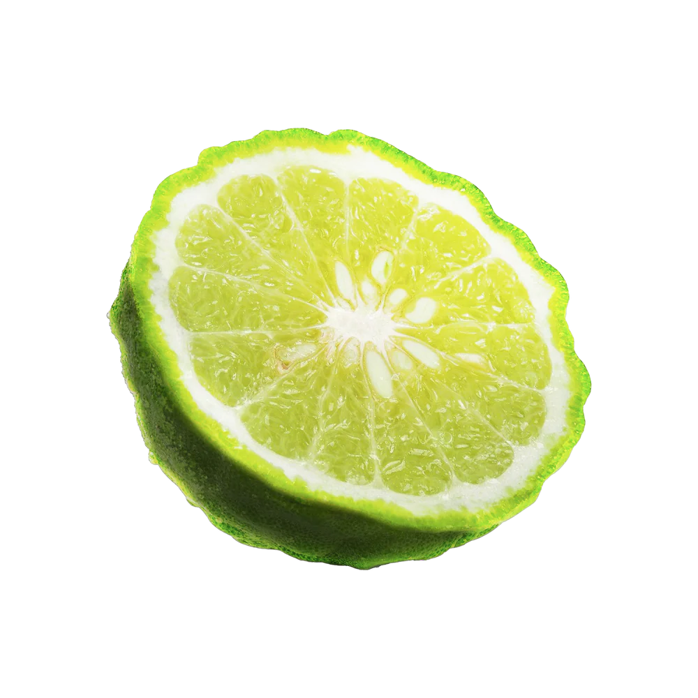 Bergamotte.png__PID:535e092b-3af1-4c69-a8a9-06495854f874