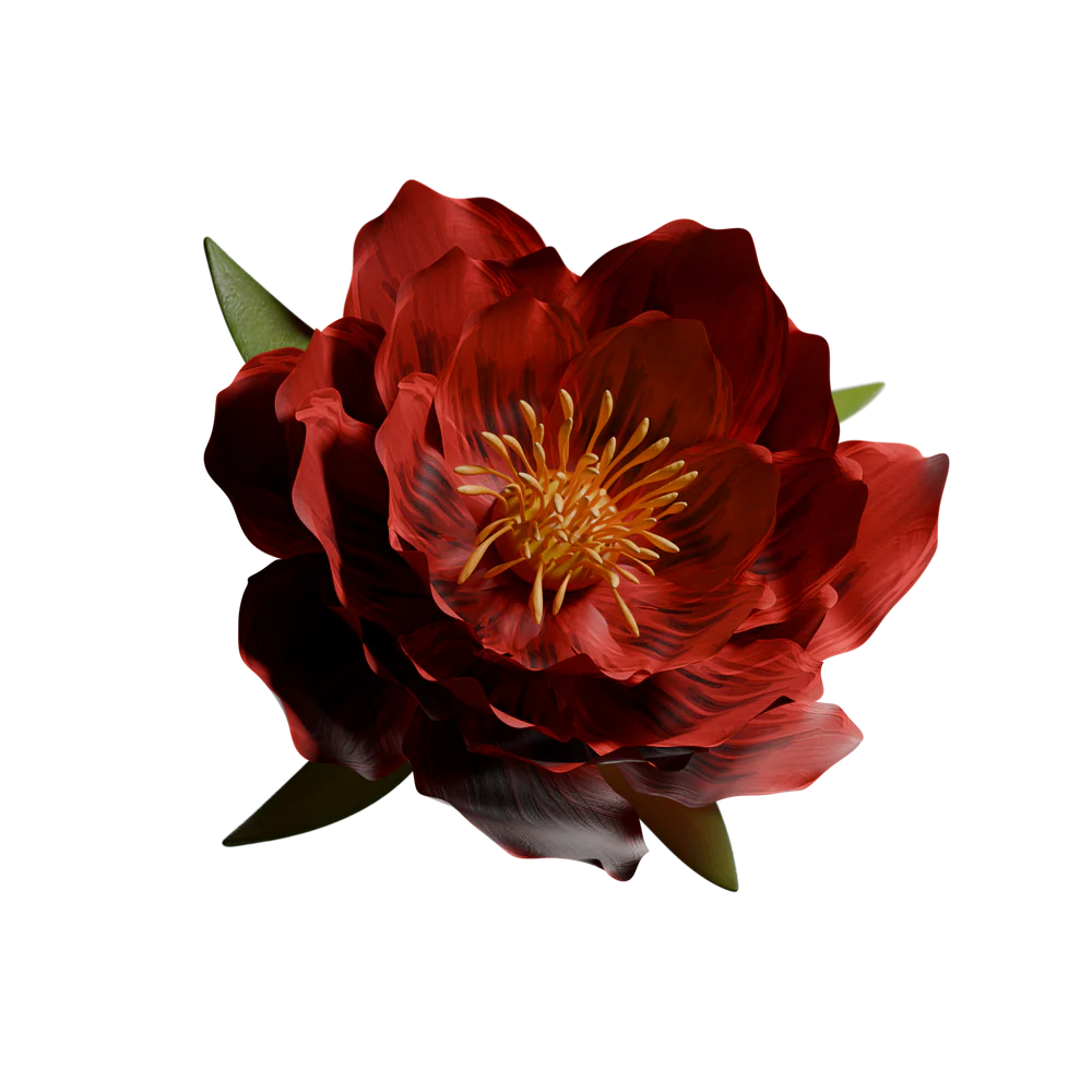 Rose.png__PID:f42913b2-e783-4e86-92bb-762476fc66ca