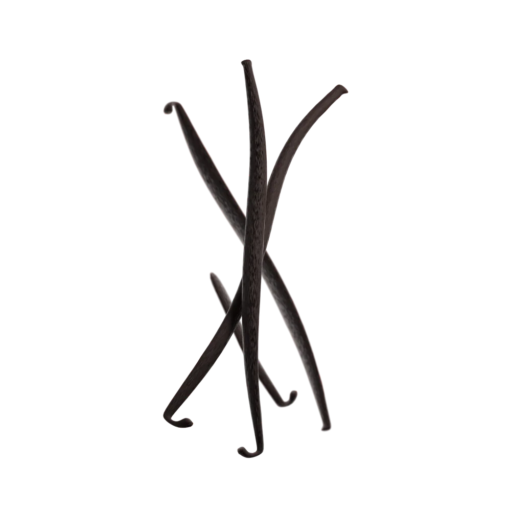 Vanilla.png__PID:13b2e783-0e86-42bb-b624-76fc66ca0254